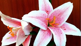 how to make Easy Paper Flowers Oriental Lily flower  113 [upl. by Norvall723]