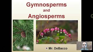 Gymnosperms and Angiosperms [upl. by Suoicserp]