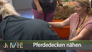 oh NÄH – Pferdecken nähen Aufz v 06072018 [upl. by Laney232]