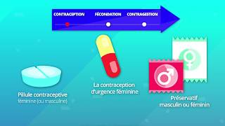 Hormones et procréation humaine SVT 2de [upl. by Hanley]