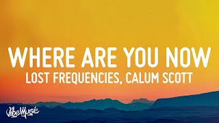 Lost Frequencies amp Calum Scott  Where Are You Now Lyrics [upl. by Nahij]