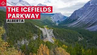 Driving the ICEFIELDS PARKWAY from Lake Louise to Jasper Alberta [upl. by Noy]