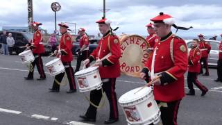 The East Of Scotland Big Walk 2017  Prestonpans  4KUHD [upl. by Merril]