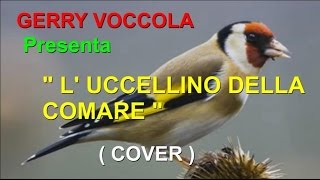 L UCCELLINO DELLA COMARE Cover Gerry  Tony Di Marti [upl. by Trebreh]