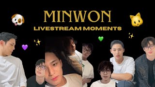 minwon  livestream moments 🐶🐱 [upl. by Darwin]