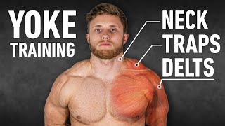 YOKED The Ultimate Trap Neck and Delt Workout ScienceBased [upl. by Assital]