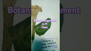 Botany assignment 11th standard [upl. by Jamey]