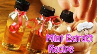 Homemade Mint Extract Recipe  Use in Herbal Mint Tea or Chocolate Mint Ice Cream [upl. by Tamah]