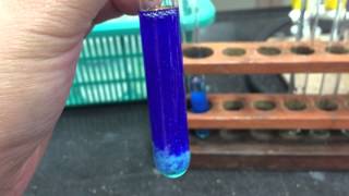 Cation Test CopperII Ions [upl. by Leiuqese]