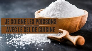 Théorie  pratique comment soigner les poissons avec le sel de cuisine [upl. by Nycila60]