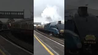 4464 quotBitternquot 10yearsago short steamtrain steam train railway railtour shortvideo shorts [upl. by Navac]