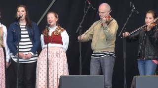 Swedish Folk Music Live [upl. by Ulyram]