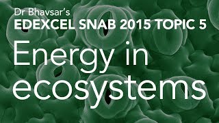 Energy in ecosystems topic 5 for Edexcel SNAB A level biology [upl. by Florina]