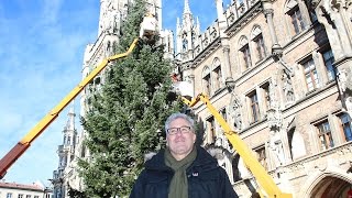 Vorgestellt der Christbaum 2016 des Münchner Christkindlmarktes [upl. by Sirah]