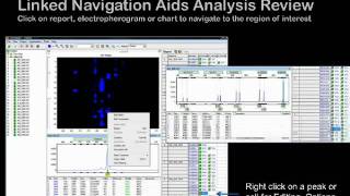 GeneMarker® Genotyping Software  Introductory Webinar [upl. by Yerxa473]