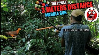 Hunting Wild Birds  MARBLE GUN  KAKAIBANG IBON NAHULI sa Pamamandaw  buwisbuhay [upl. by Zetnod]