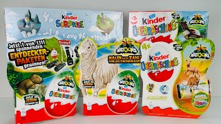 Распаковка старых Киндеров Натунс Old Kinder Surprise Natoons Unboxing [upl. by Nylisoj132]