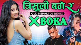 TRISULI BAGERA NEW NEPALI REMIX  Kartik Official [upl. by Sherard]