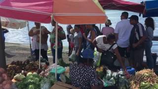 Guadeloupe Pointe à Pitre Marché aux poissons  Guadeloupe Pointe à Pitre Fish Market [upl. by Nettirb]