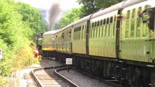 Chiltern 100 Steam Special at Thame Junction en route to Princes Risboroughwmv [upl. by Anselma]