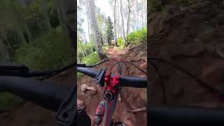 spinaltap richfield utah aribikes fezzari insta360 mtb bicycle utahmtb mountainbike bike [upl. by Nortna]