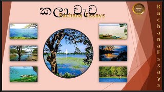 කලා වැව සිංහල රචනාව  Kala wewa sinhala essay  Kala wewa historical lake Sri lanka  Rachana  2021 [upl. by Elleunamme]