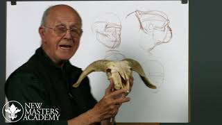 🐐 How to Draw Animals with Glenn Vilppu [upl. by Vharat]