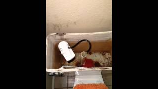 Korky fill valve for toilet install [upl. by Louie154]