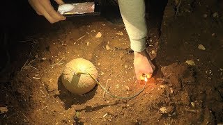 1kg Cipolla  Bomba di Maradona  Vuurwerk [upl. by Pammi]