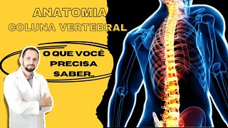 Anatomia da Coluna Vertebral  divisões e articulações [upl. by Aihgn]