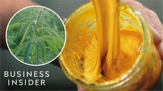 What Is CBD Oil And How Did It Become A 1 Billion Industry [upl. by Kirbee732]