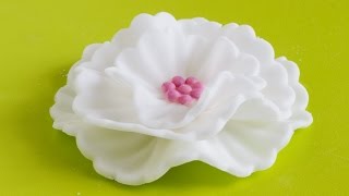 How to make Fondant Flowers  Cake Decorating Tutorial [upl. by Evey789]