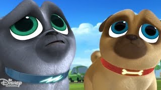 Hissy Goes To The Spa Puppy Dog Pals Bingo And Rolly 2018 [upl. by Stevens]