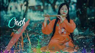 Ailana Ailana Re Bondhu  আইলানা আইলানা রে বন্ধু  Tik Tok Viral Song Singer Sriya amp Roysul [upl. by Ruyam]