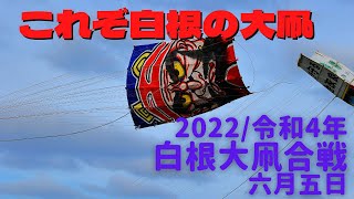 白根大凧合戦2022・令和4年6月5日これぞ白根の大凧だ。達摩組VS役者組 japanese Shirone Giant Kite Battle [upl. by Harobed]