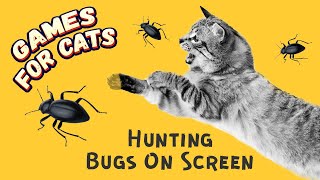 Cat Games Bugs On Screen  BEST bugs for cats to watch 😻 [upl. by Coffeng]