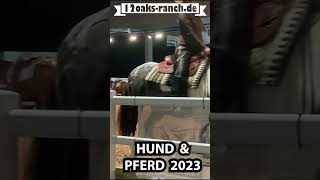 Hund amp Pferd Messe 2023 in Dortmund Impressionen von der Show Westernreiten Horse Dog Trail [upl. by Bernadina]