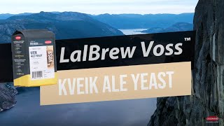 LalBrew Voss Kveik Ale Yeast [upl. by Pan305]