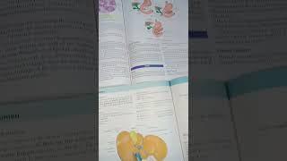 Aukaat ke bahar wala comparison 😳🤯comparison medstudent bams bamscollegelife funnyanatomyfun [upl. by Susanetta880]