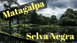 Trip to Matagalpa amp Selva Negra  Nicaragua [upl. by Ayhtin]