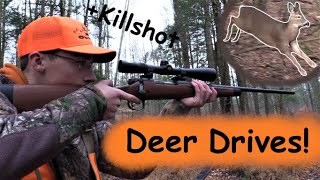 RIFLE DEER DRIVES Deer Down  PA Rifle Hunting 2020 [upl. by Aciraa]