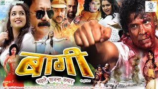 BAAGHI  Bhojpuri Movie  Amrapali Dubey [upl. by Voleta]