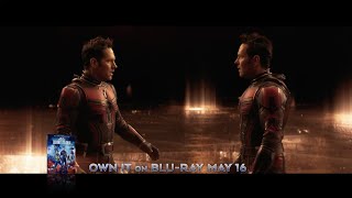 Marvel Studios’ AntMan and The Wasp Quantumania  Official IMAX® Trailer [upl. by Whale]