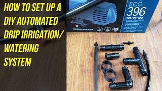 How To Set Up A DIY Automated Drip Irrigation Watering System [upl. by Eslehc525]