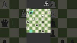 BRILLIANT ♟️MOVE BY MAGNUS CARLSEN 🗿👿chess brilliantmove chessgrandmaster shortsfeed chessgame [upl. by Nilad]