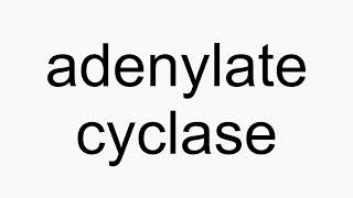 How to pronounce adenylate cyclase [upl. by Almira]