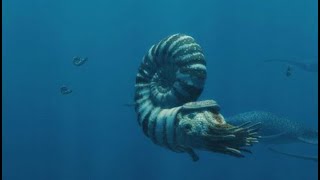 Spirals in Time What Can Ammonites Teach Us About Life in Ancient Oceans’ with James Witts [upl. by Artair]