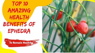 Top 10 Amazing Health Benefits Of Ephedra [upl. by Ezmeralda671]