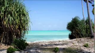 FB Reef amp Beach hotel Zanzibar [upl. by Ogu]