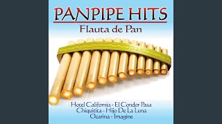 El condor pasa Panpipe Version [upl. by Lerrud]